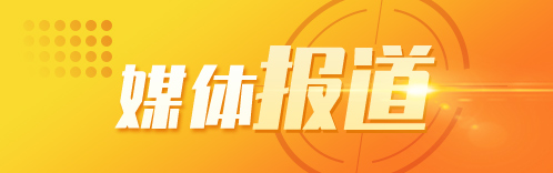 媒体报道